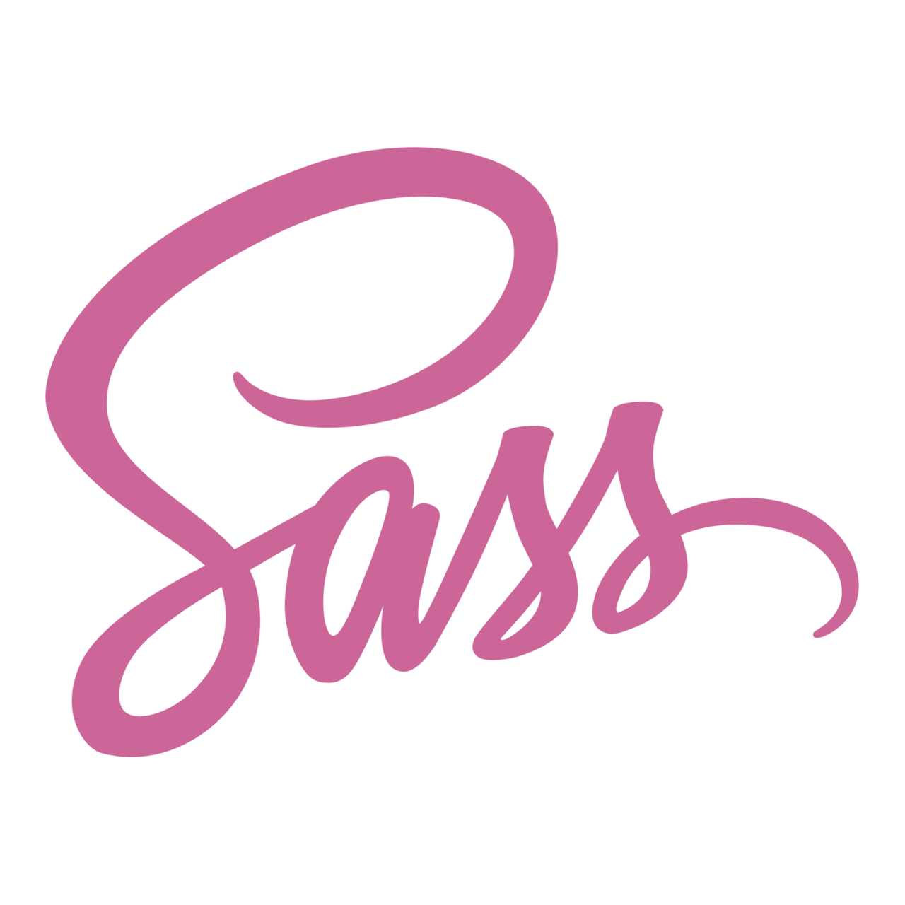 sass logo inside a car